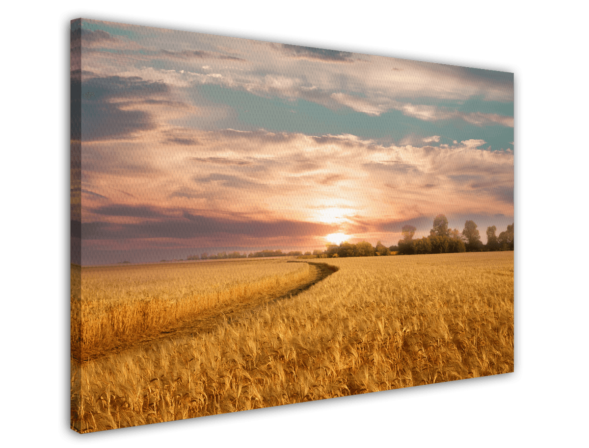 stretched-canvas