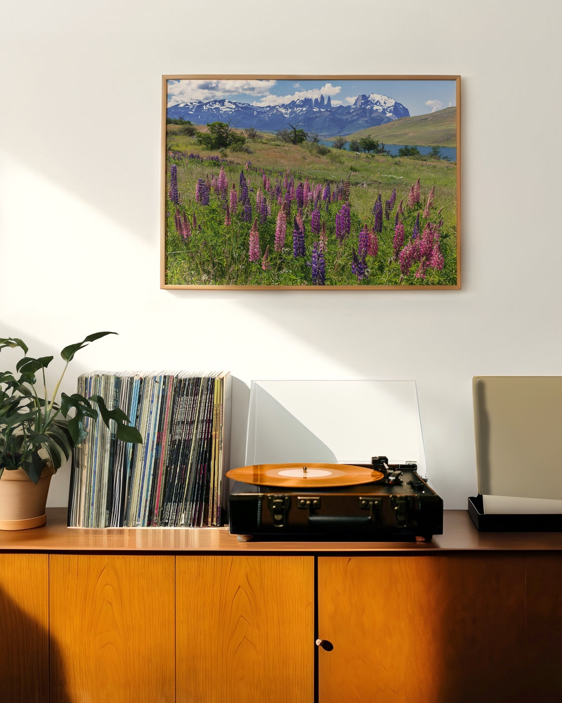 canvas
