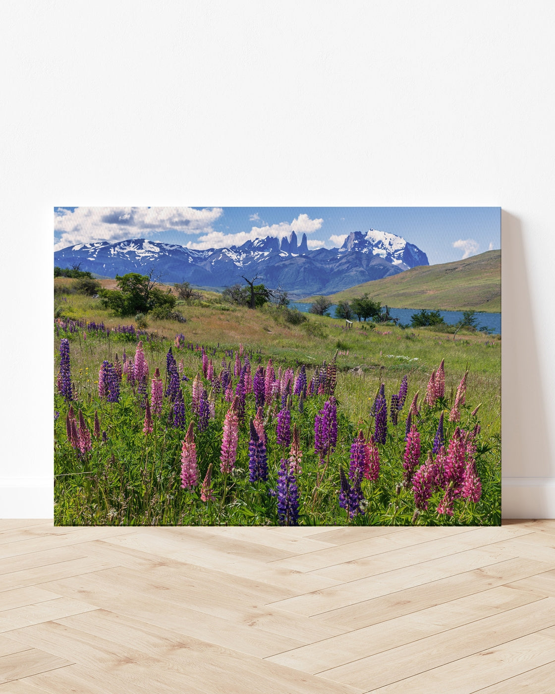 stretched-canvas