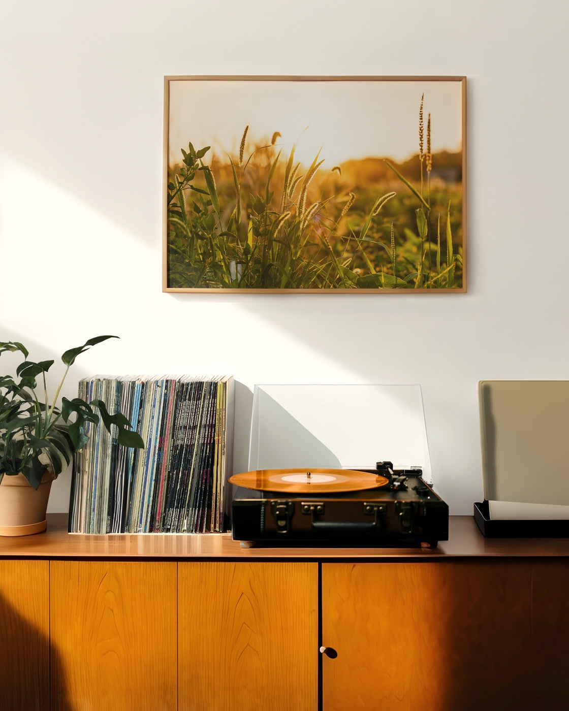 canvas