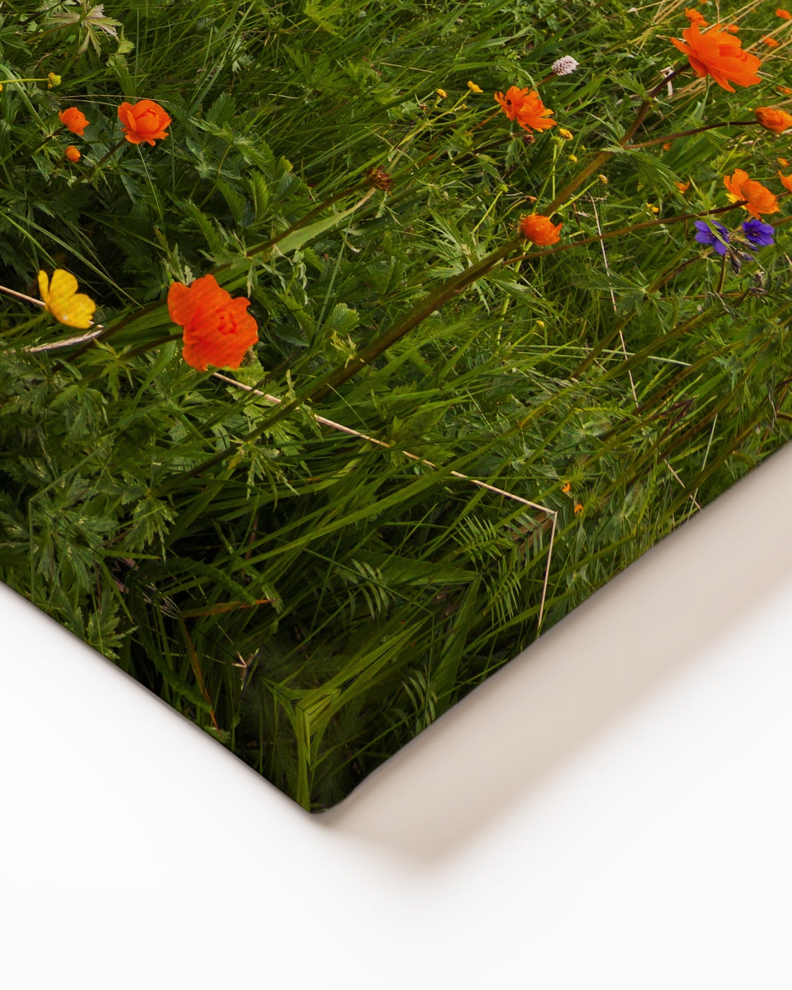 stretched-canvas