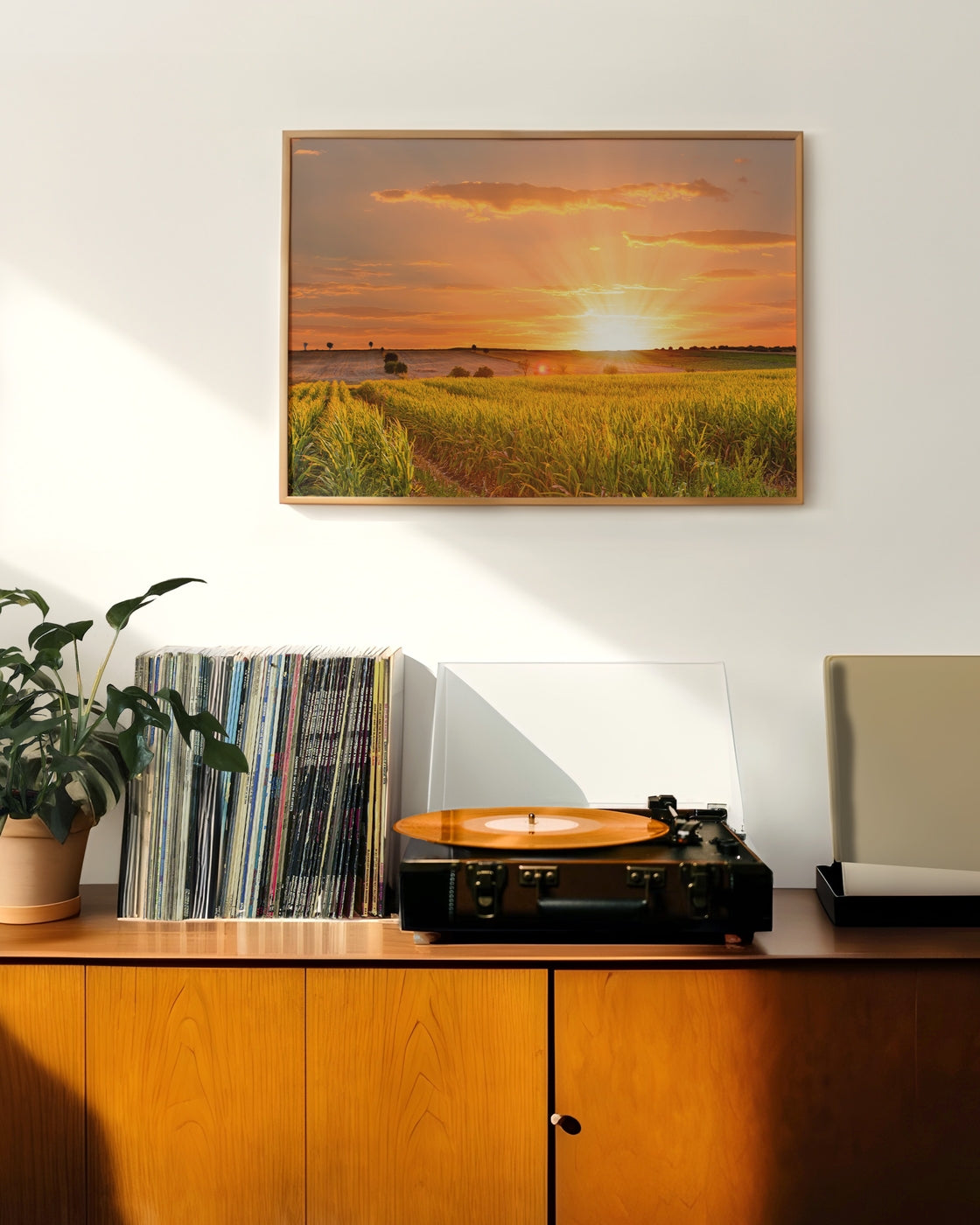 canvas