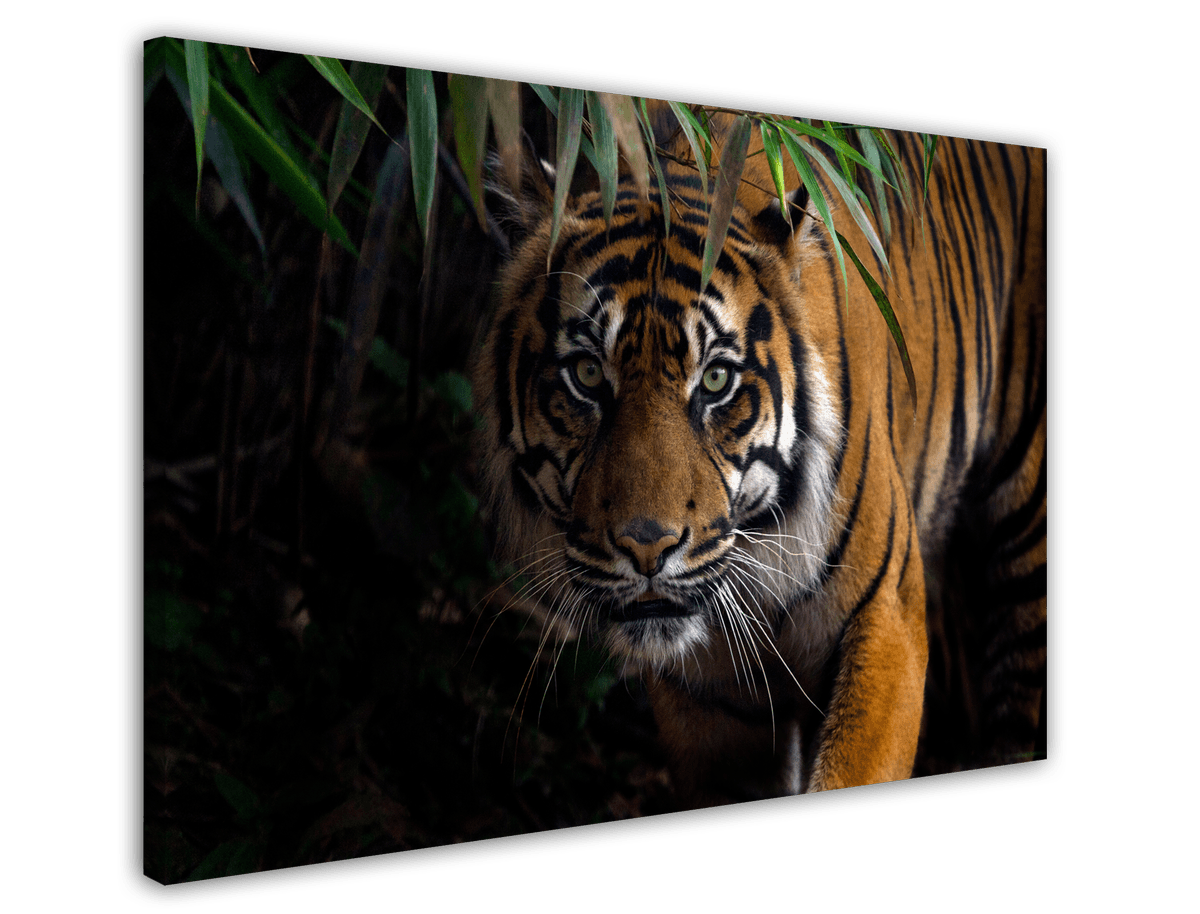 stretched-canvas