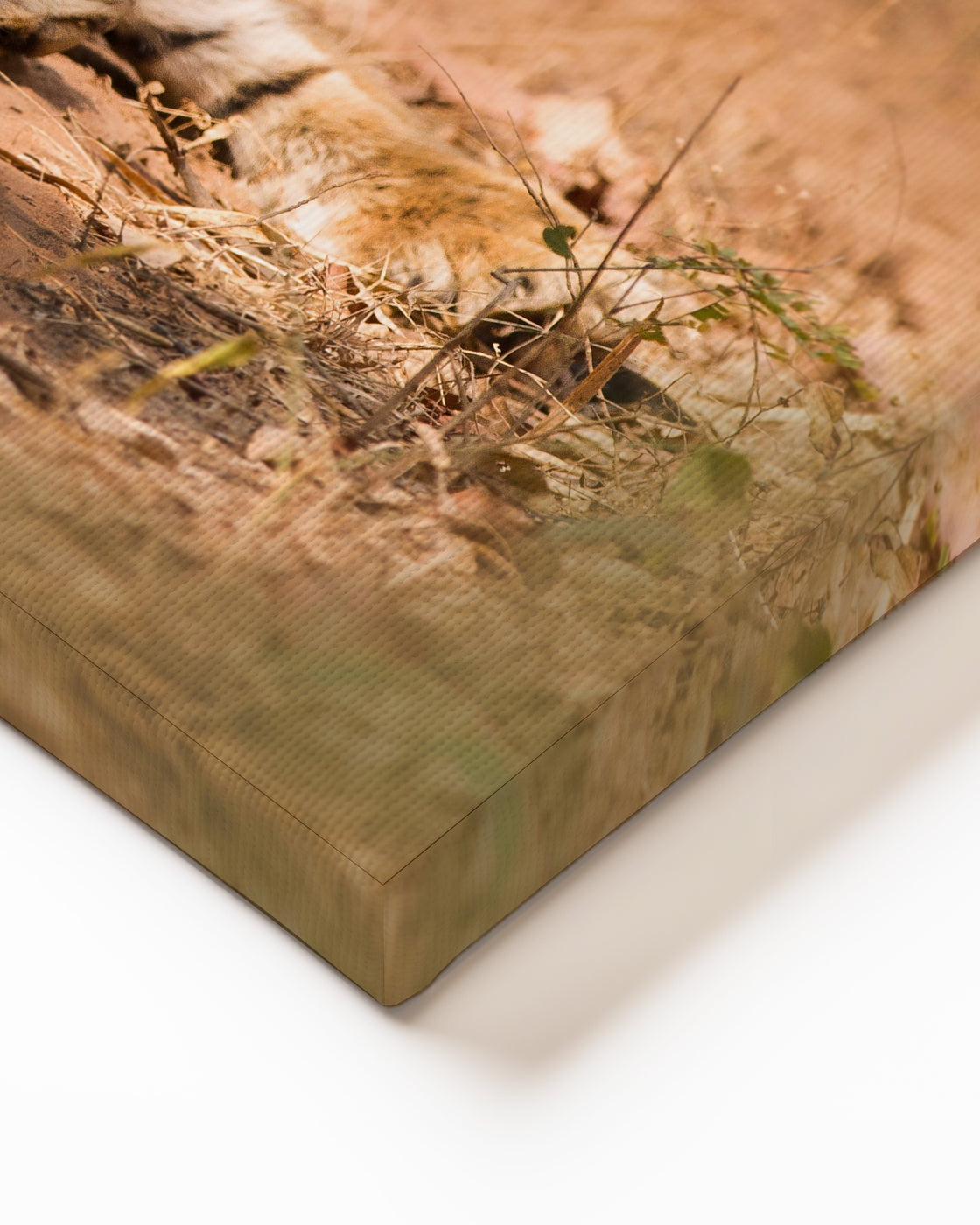 stretched-canvas