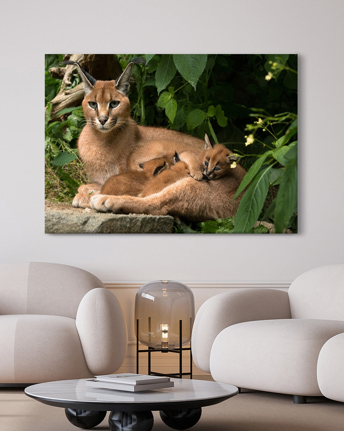 stretched-canvas