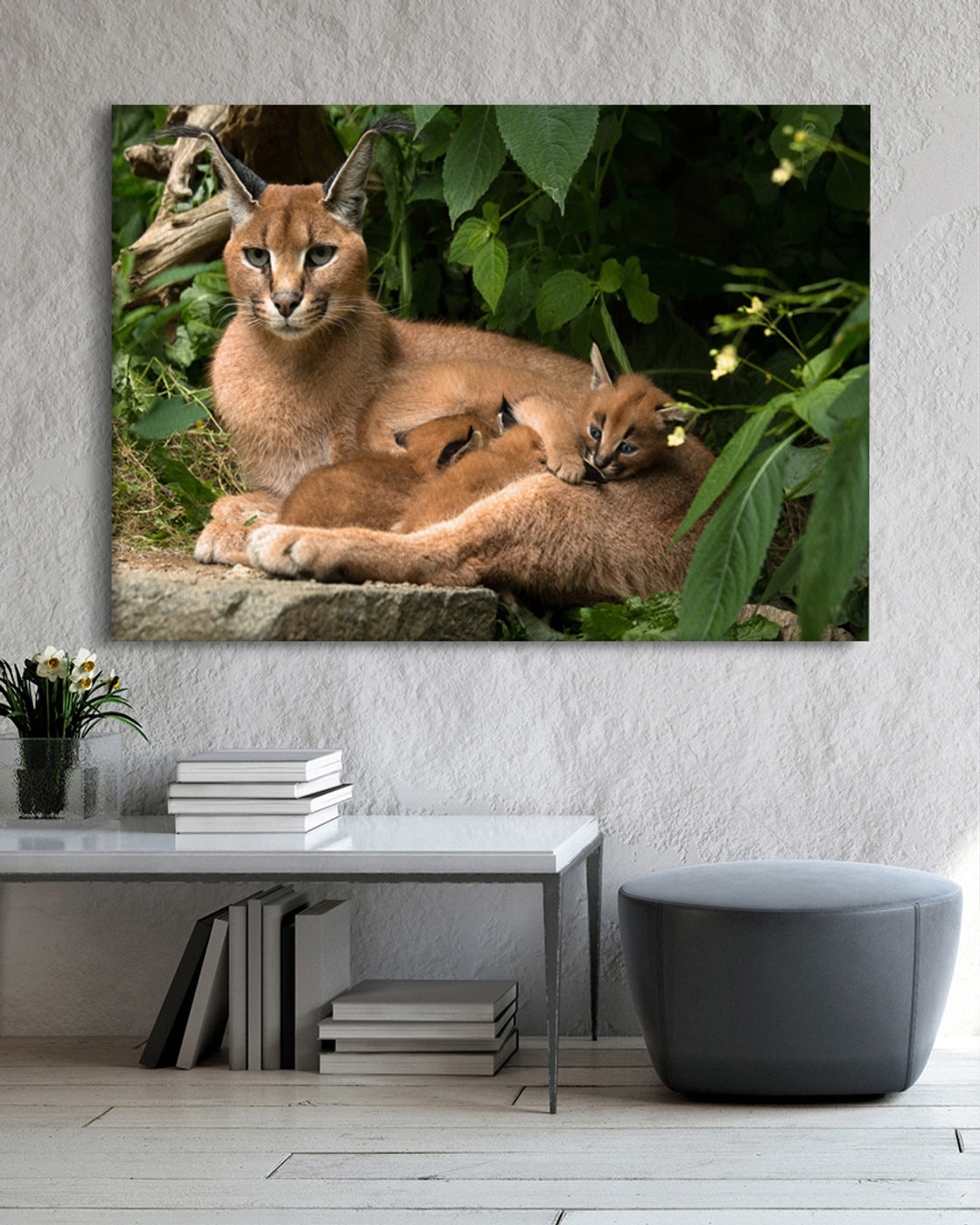 stretched-canvas