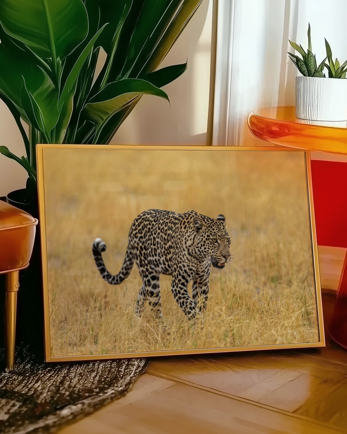 canvas