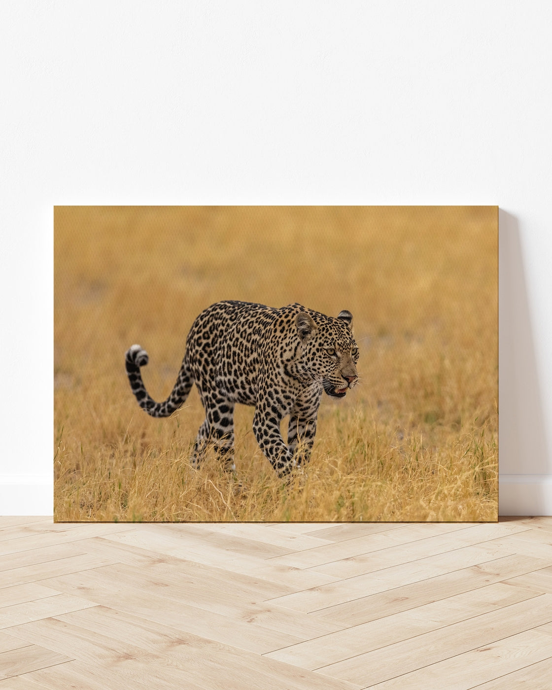 stretched-canvas