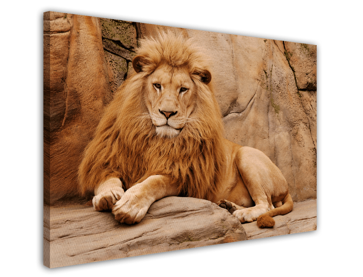 stretched-canvas