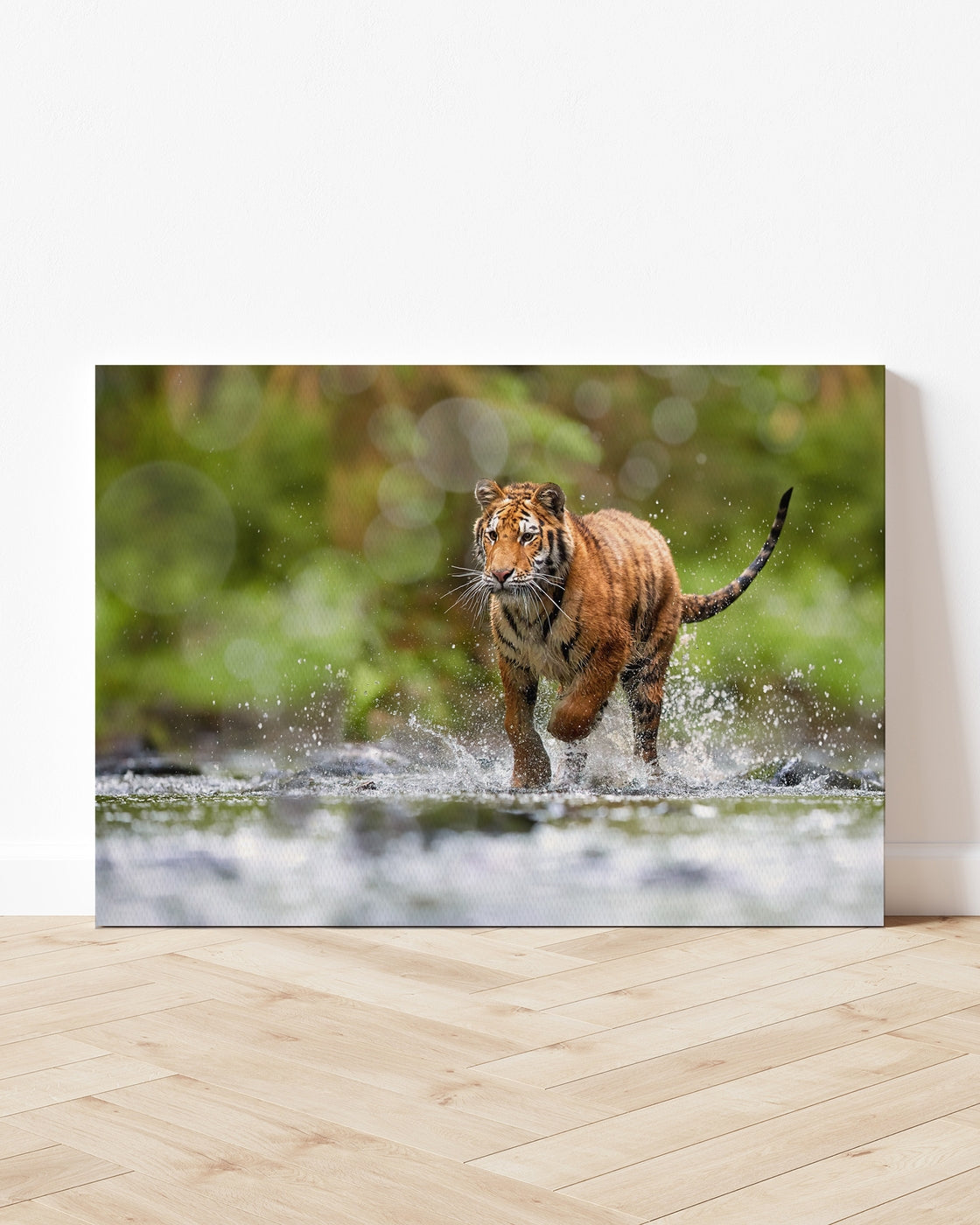 stretched-canvas