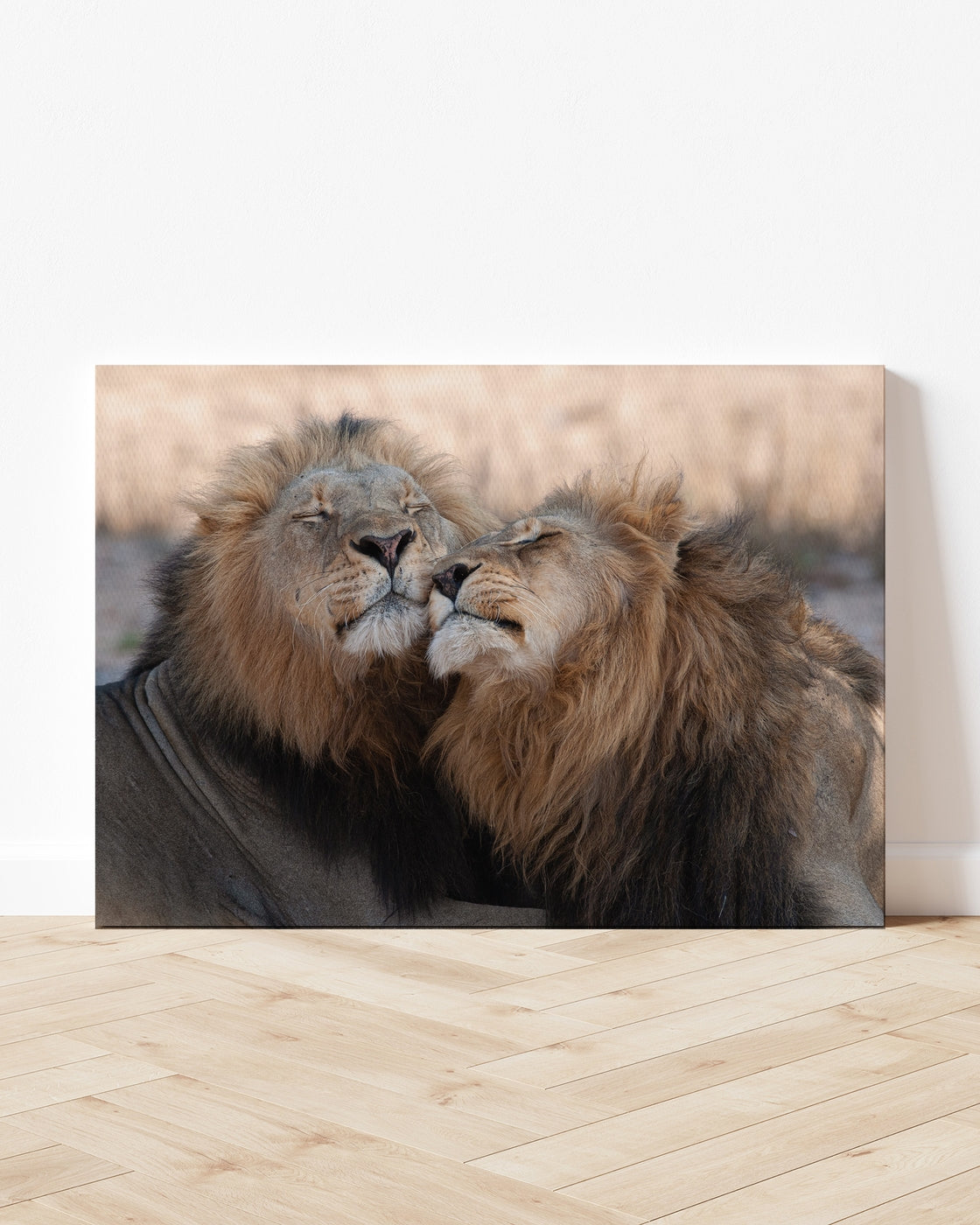 stretched-canvas