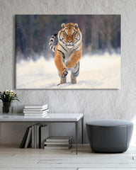 After Hover: Springender Tiger in Schnee-Landschaft - Wildtier Fotografie