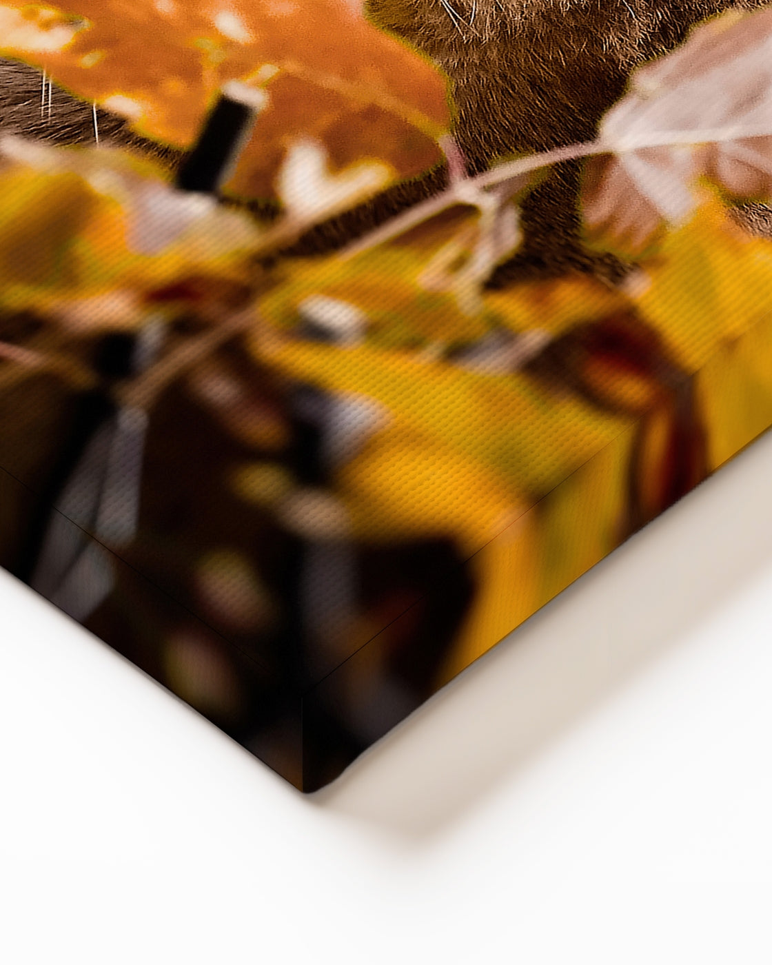 stretched-canvas