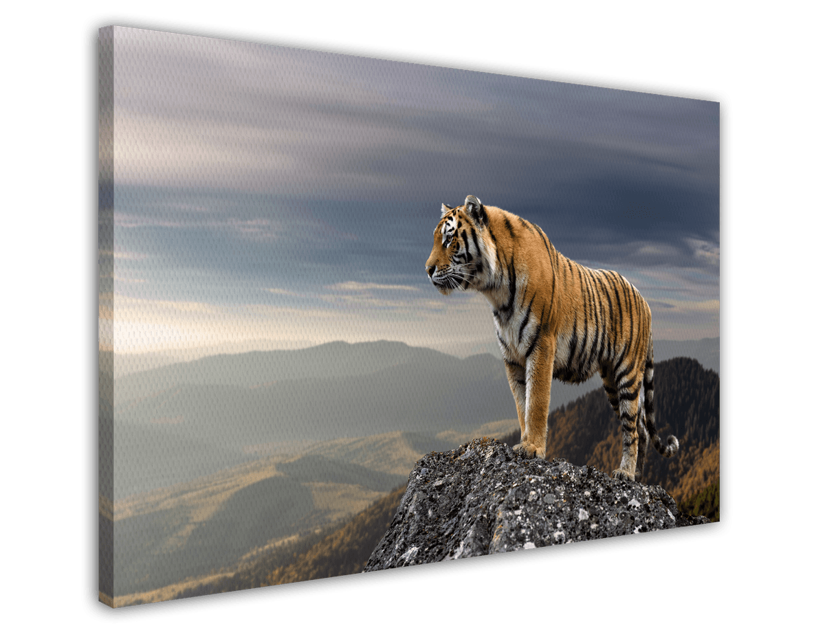 stretched-canvas