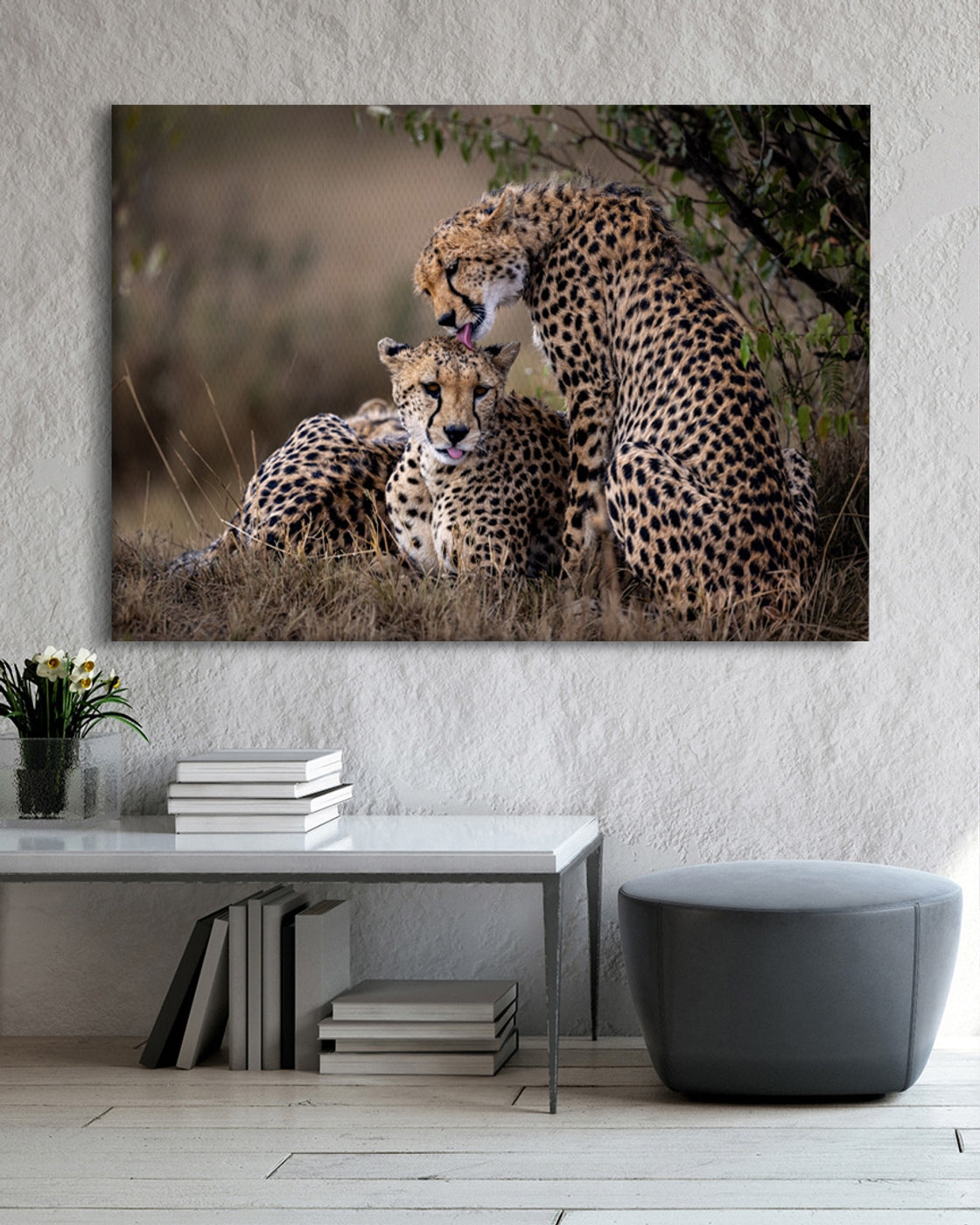 stretched-canvas