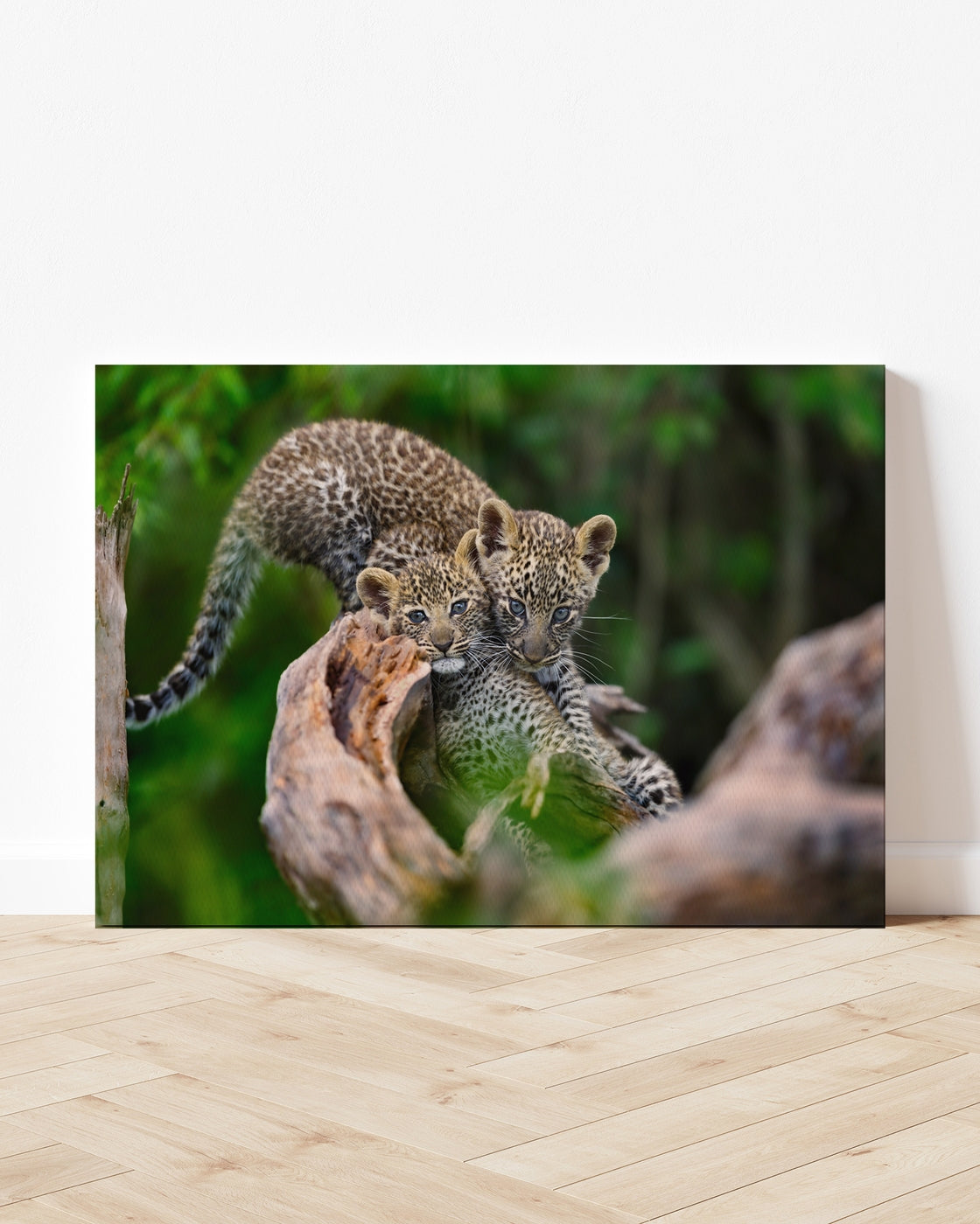 stretched-canvas