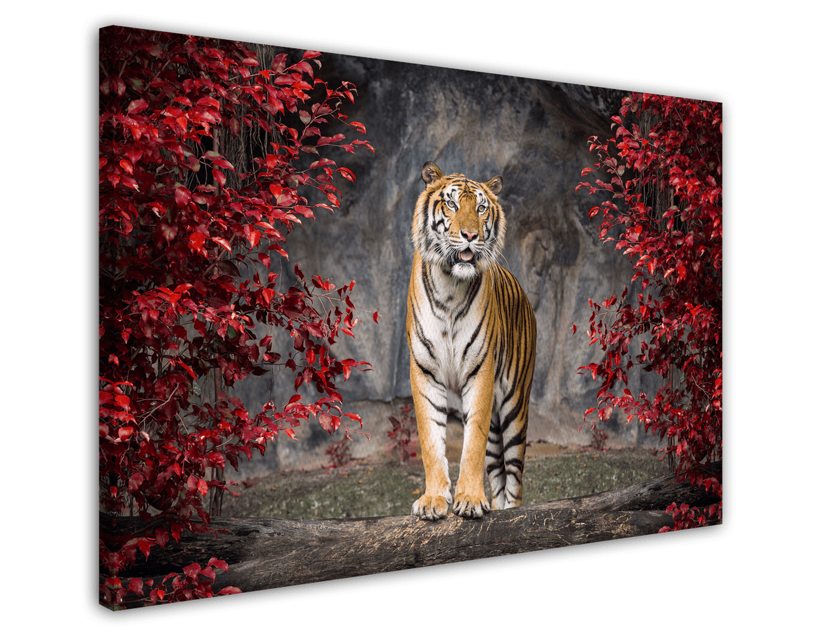 stretched-canvas