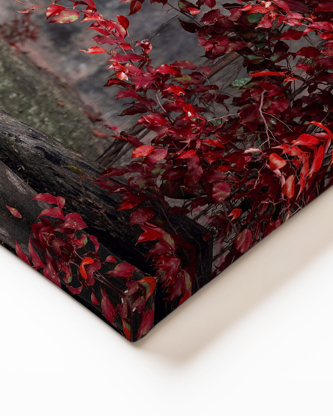 stretched-canvas