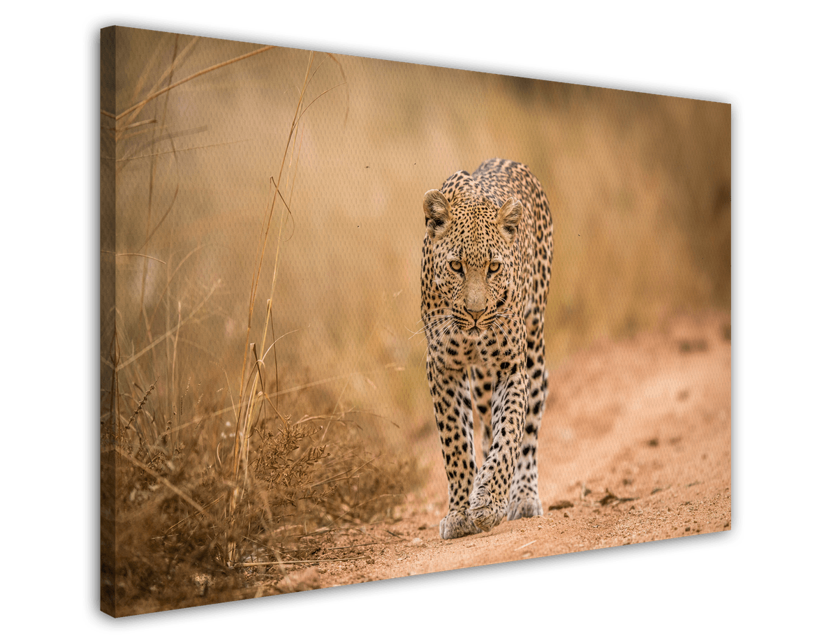 stretched-canvas