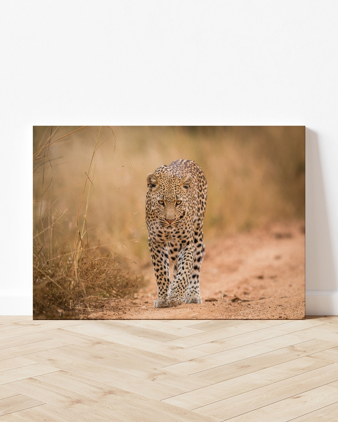 stretched-canvas