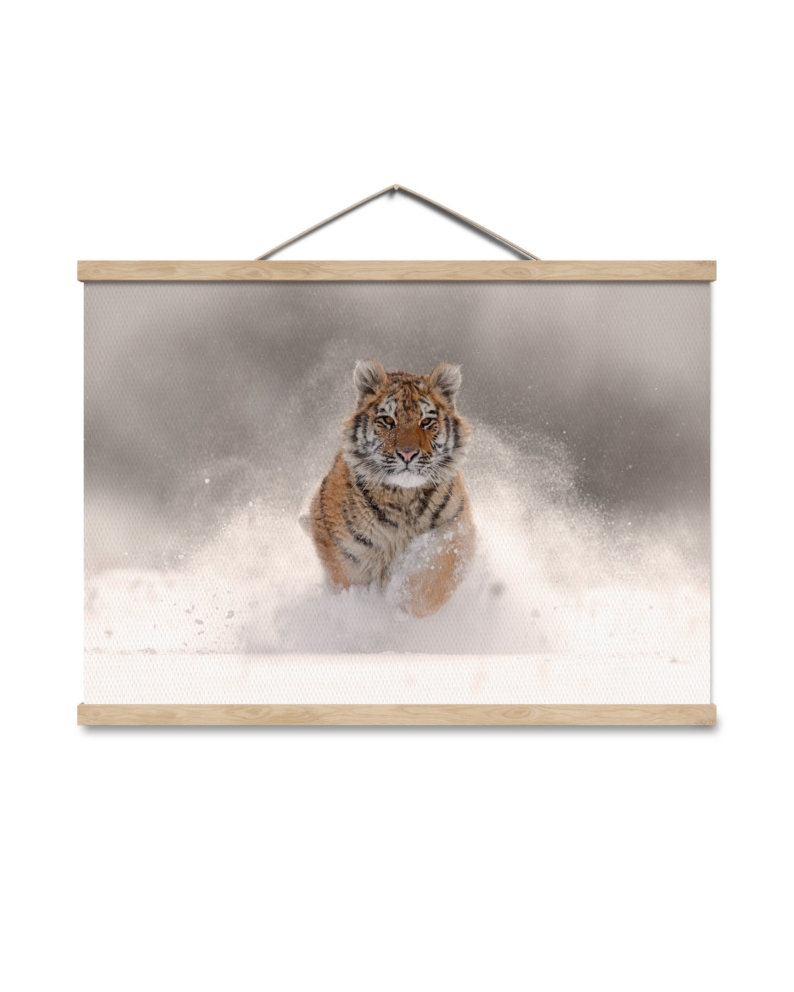 canvas