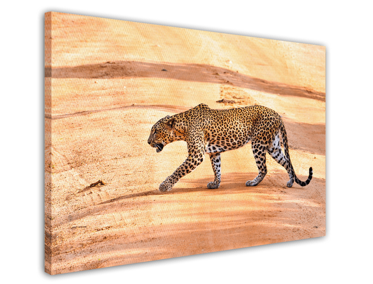 stretched-canvas