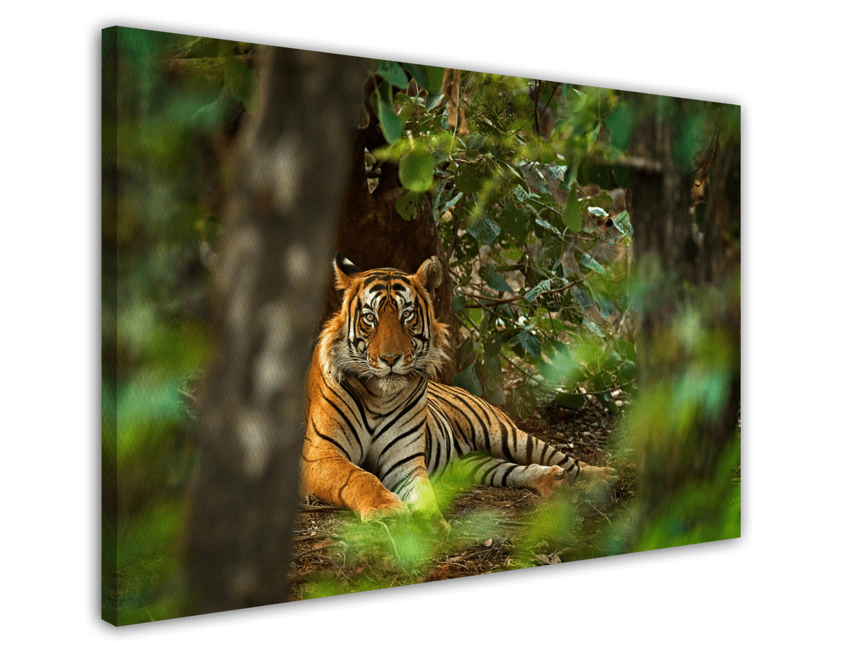 stretched-canvas