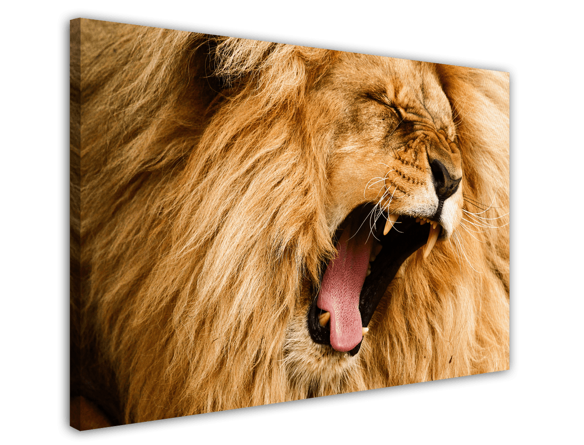stretched-canvas