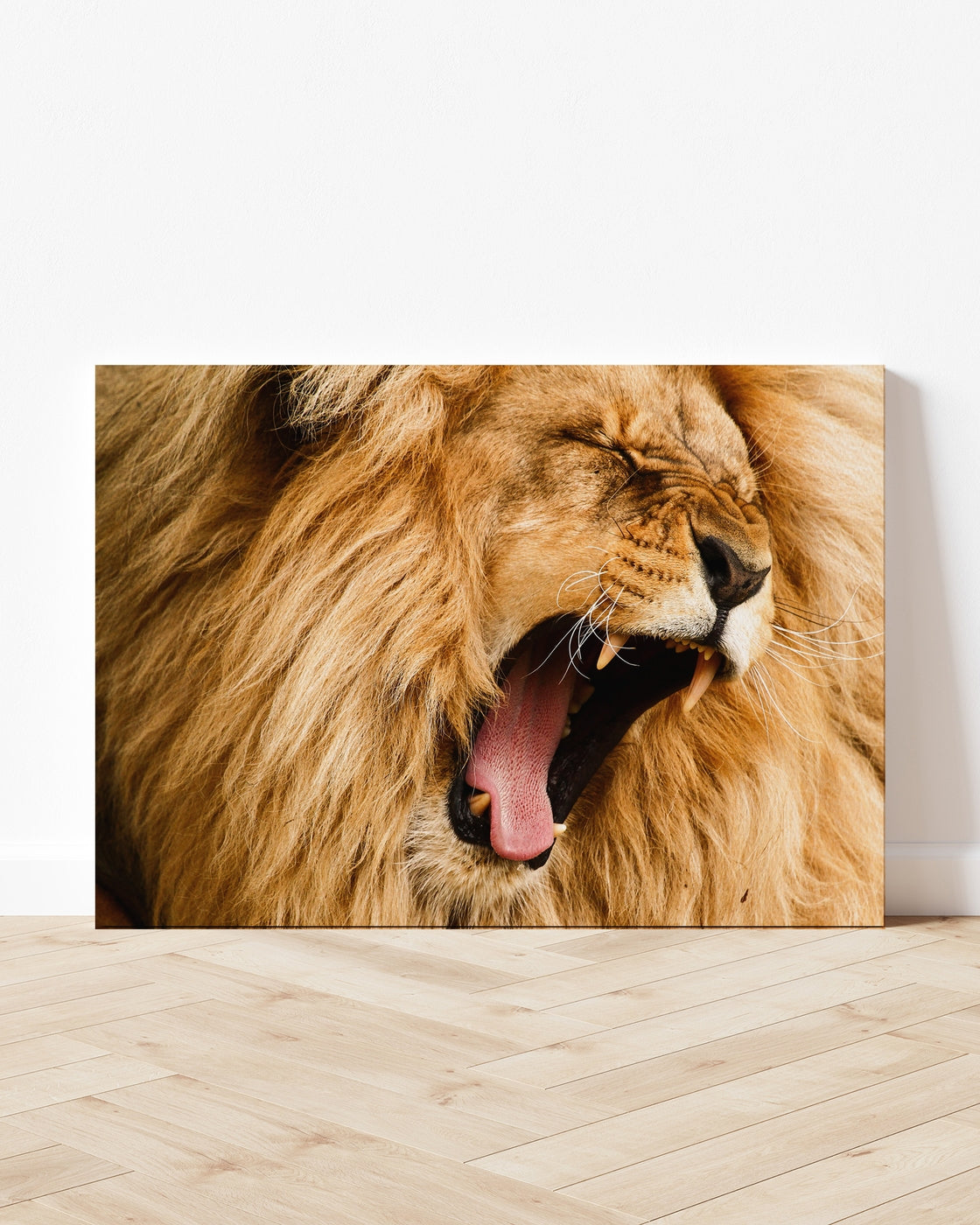 stretched-canvas