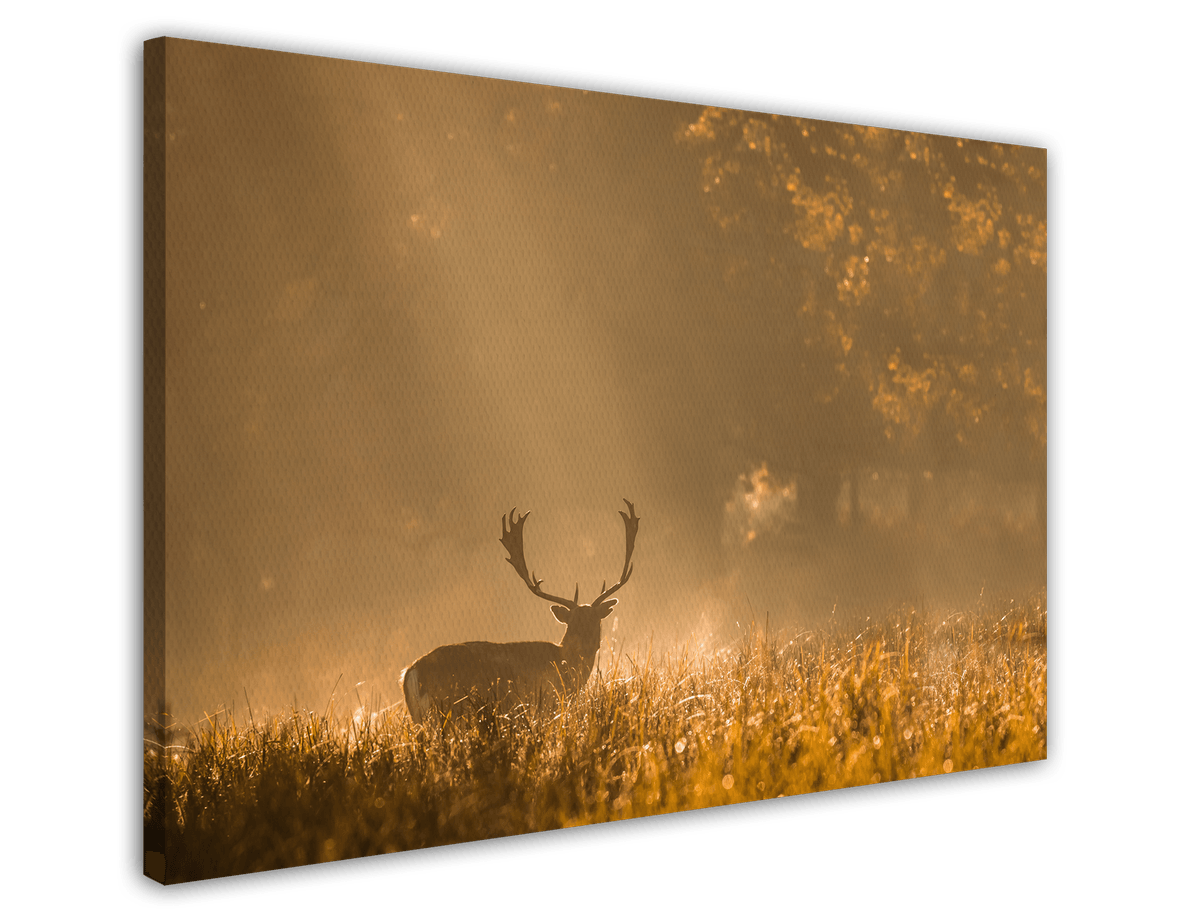 stretched-canvas