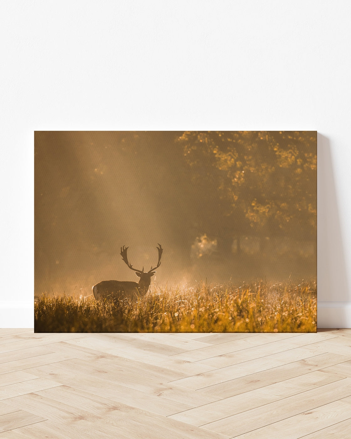 stretched-canvas