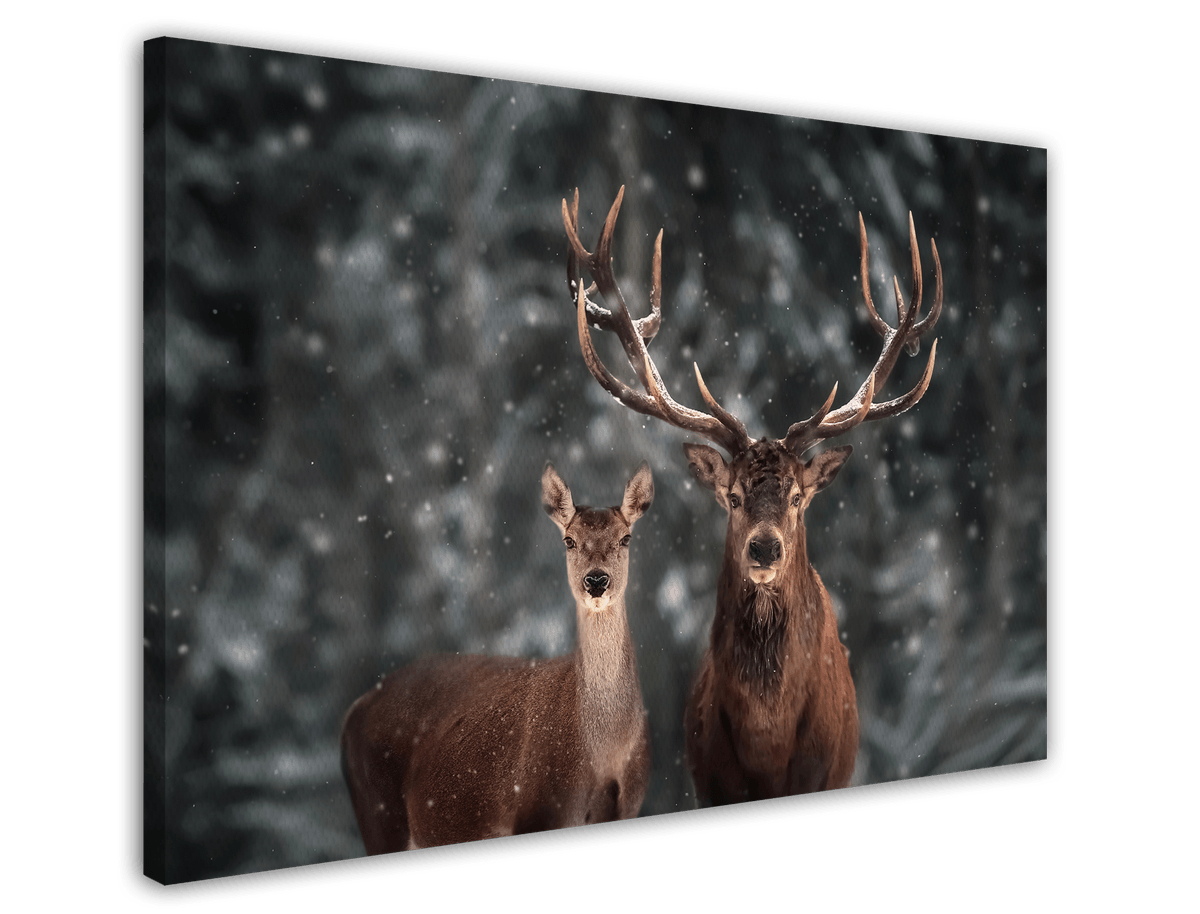 stretched-canvas