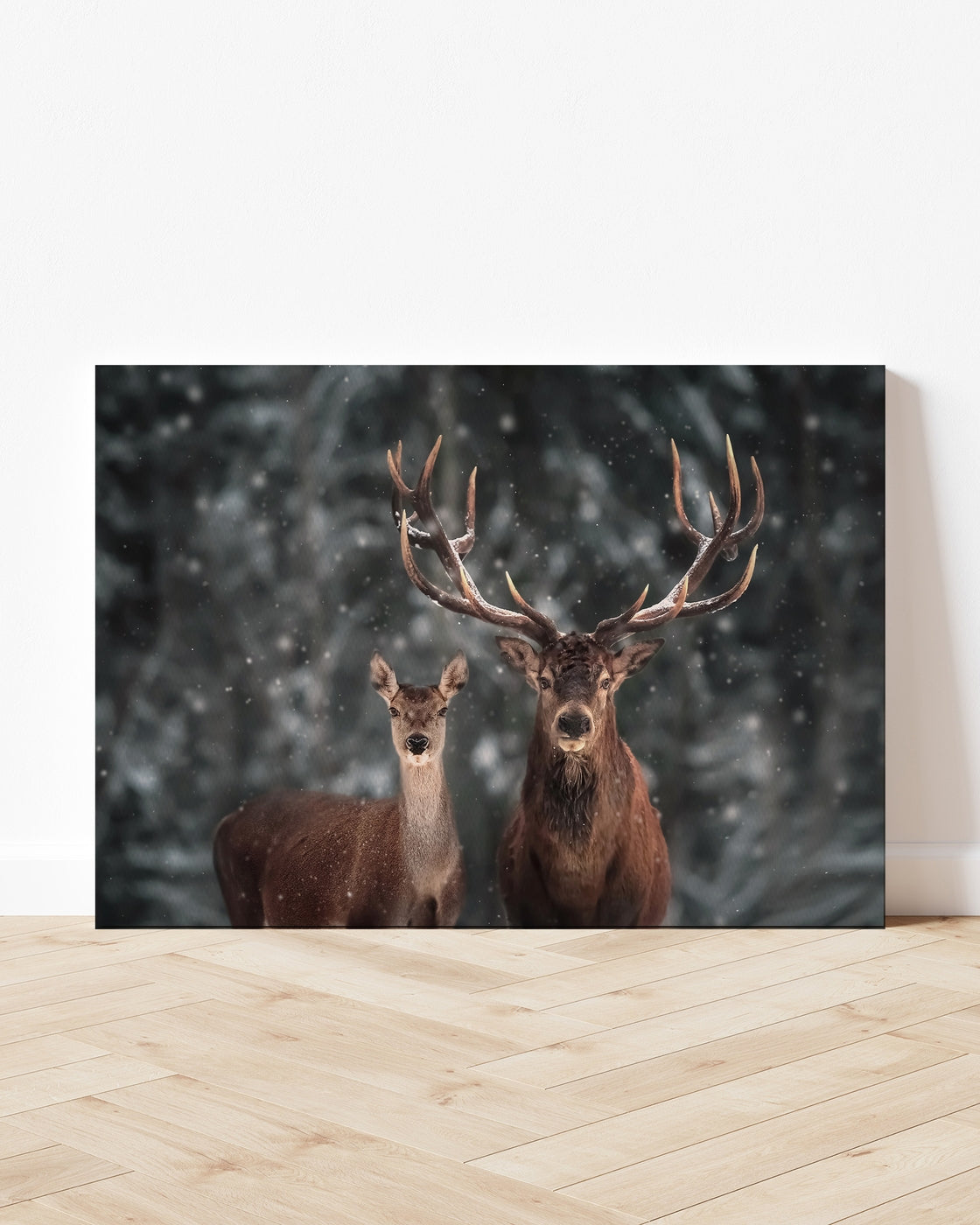 stretched-canvas