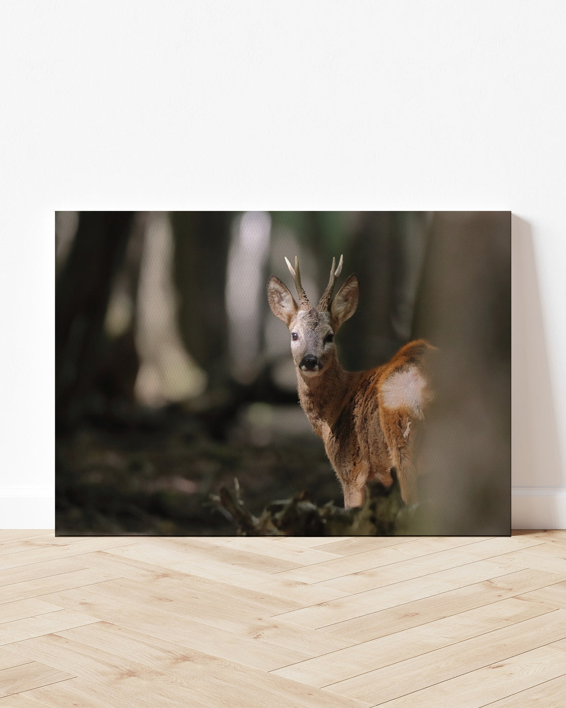 stretched-canvas