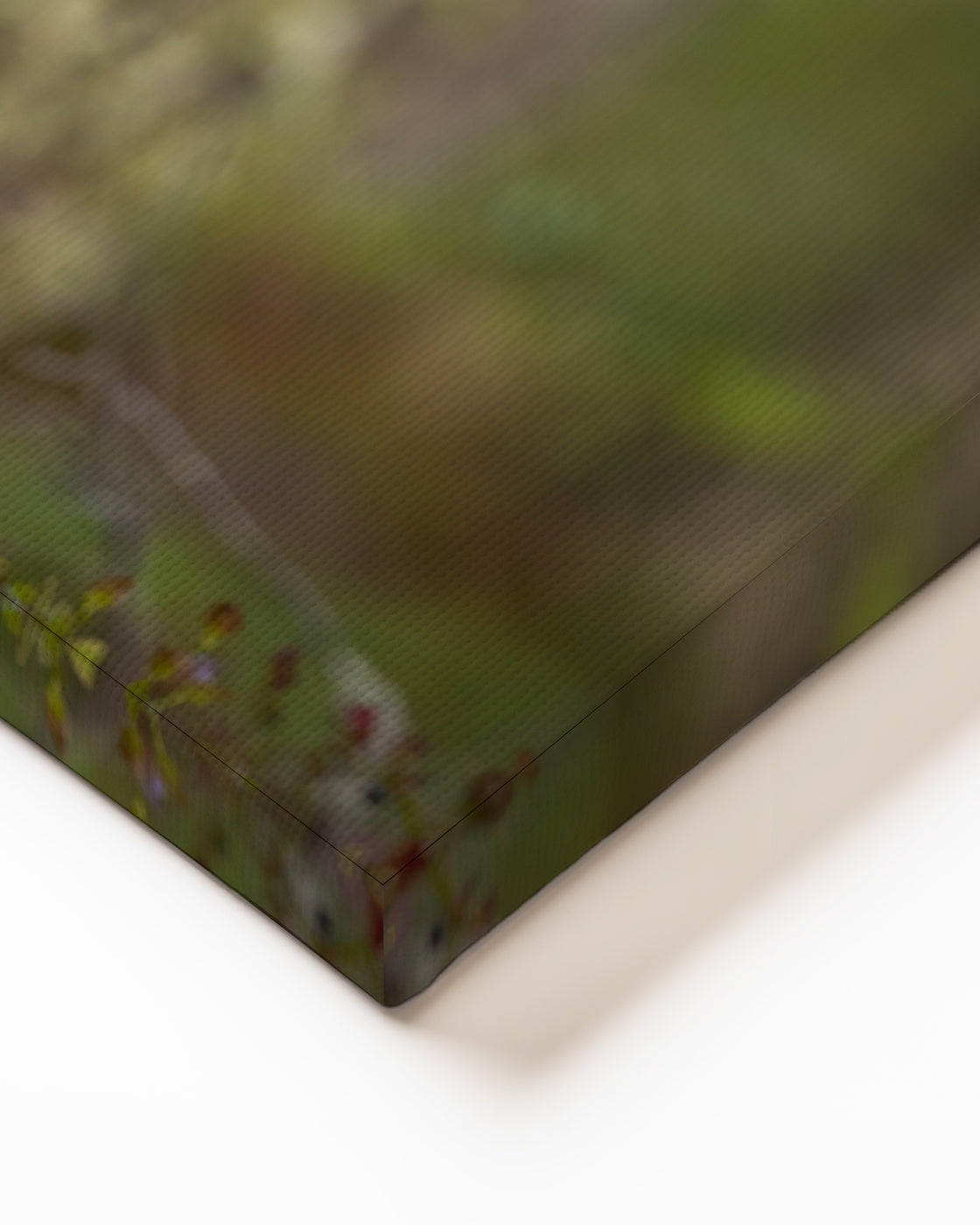 stretched-canvas