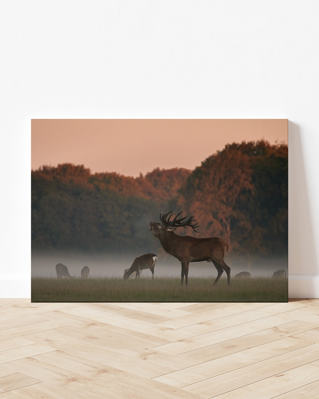 stretched-canvas