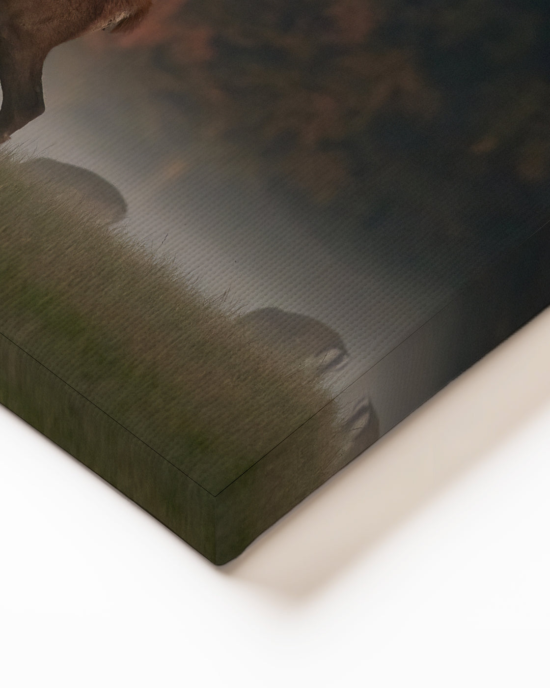 stretched-canvas