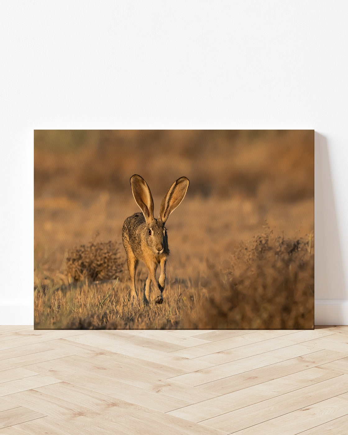 stretched-canvas