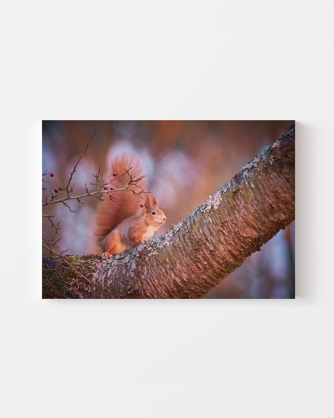 stretched-canvas