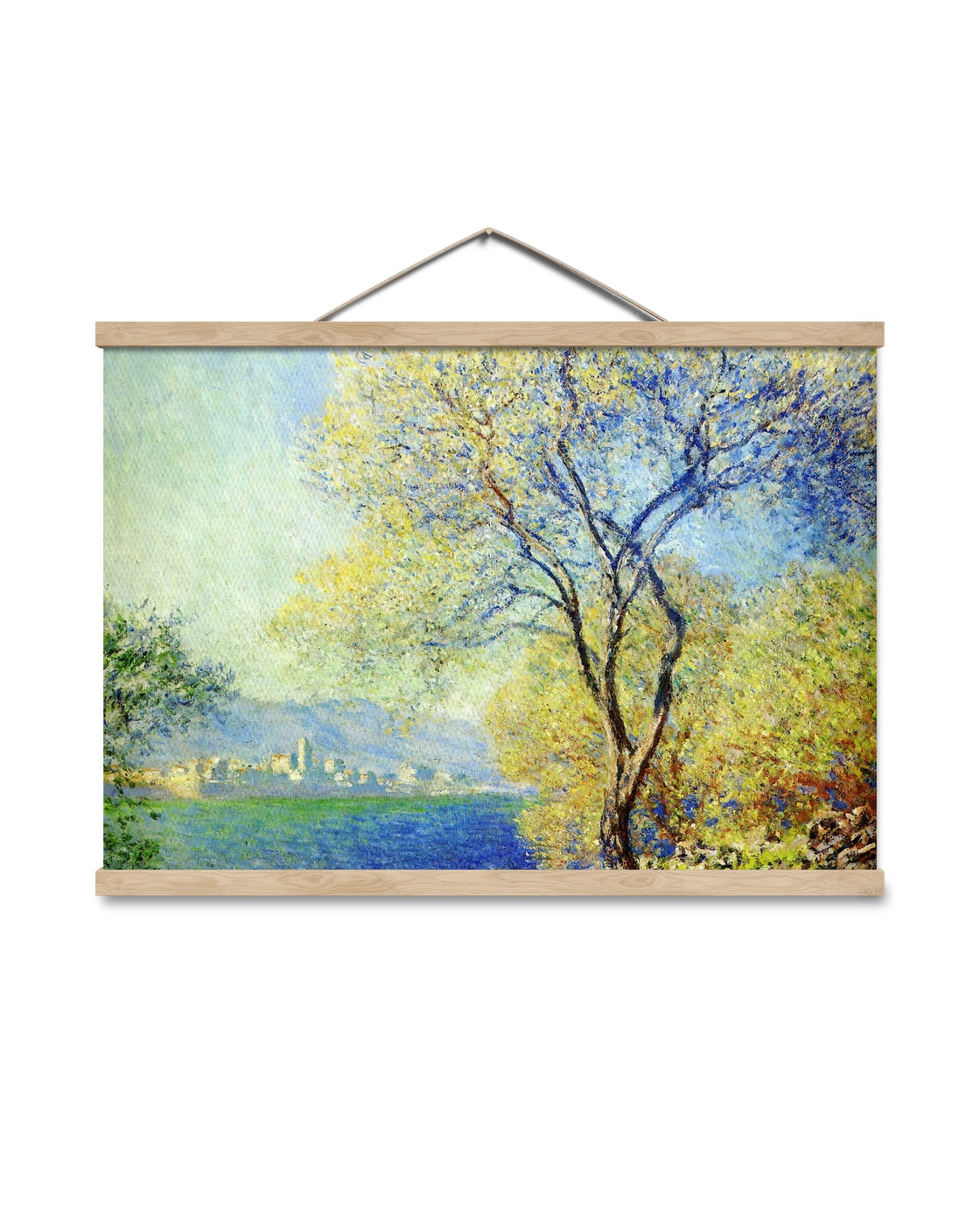canvas