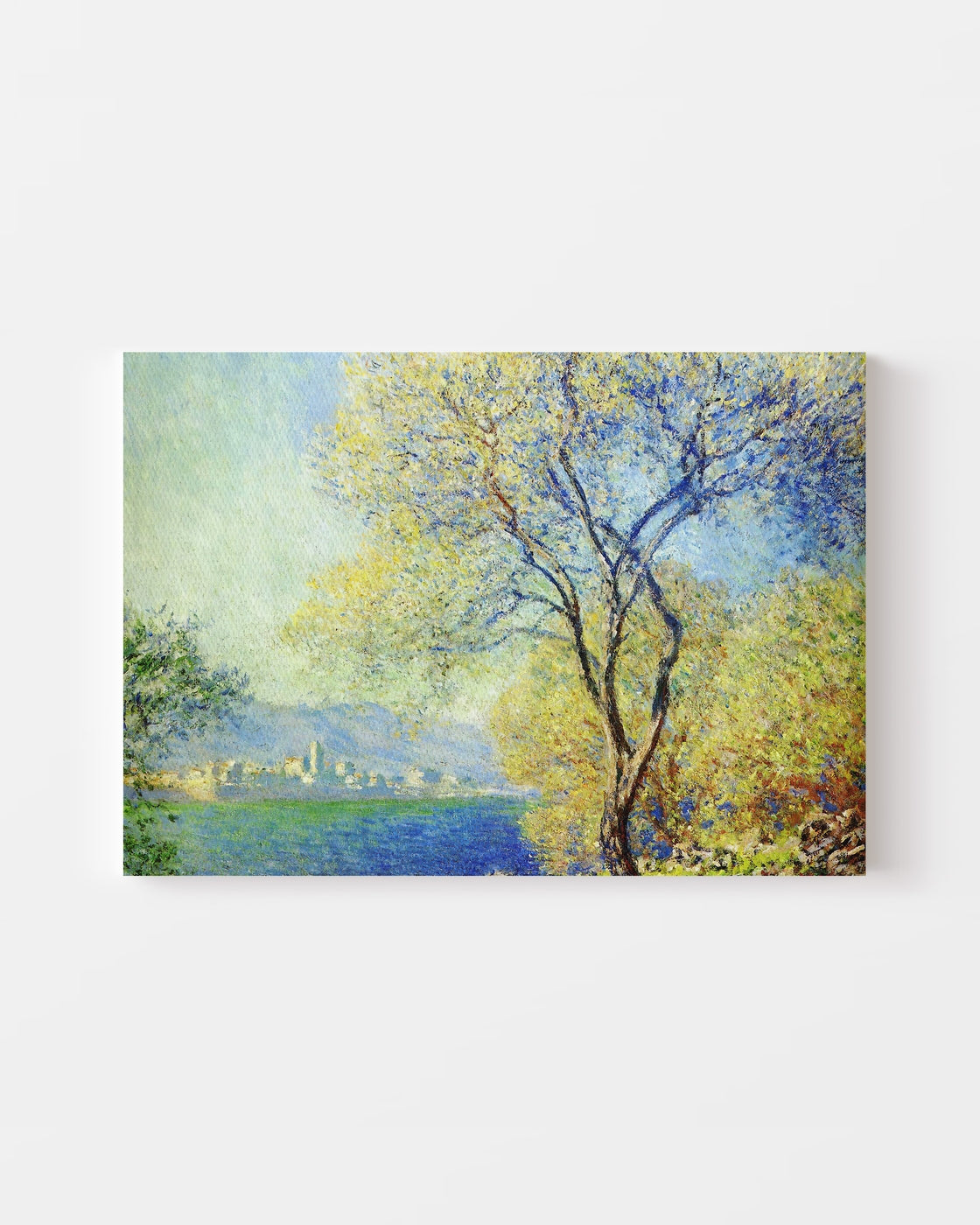 stretched-canvas