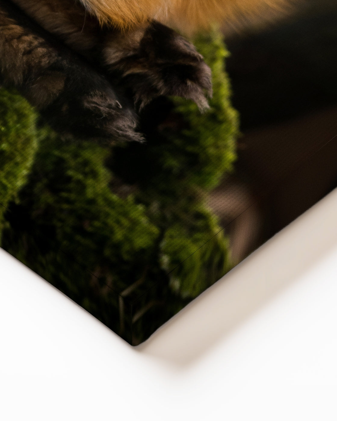 stretched-canvas