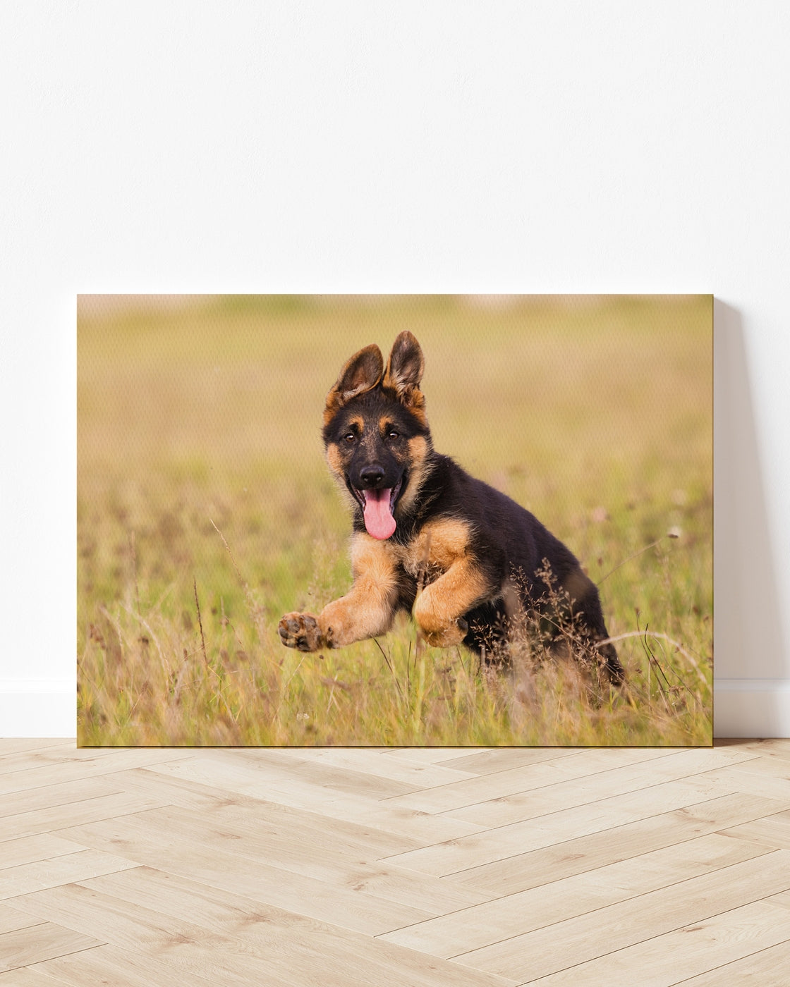 stretched-canvas