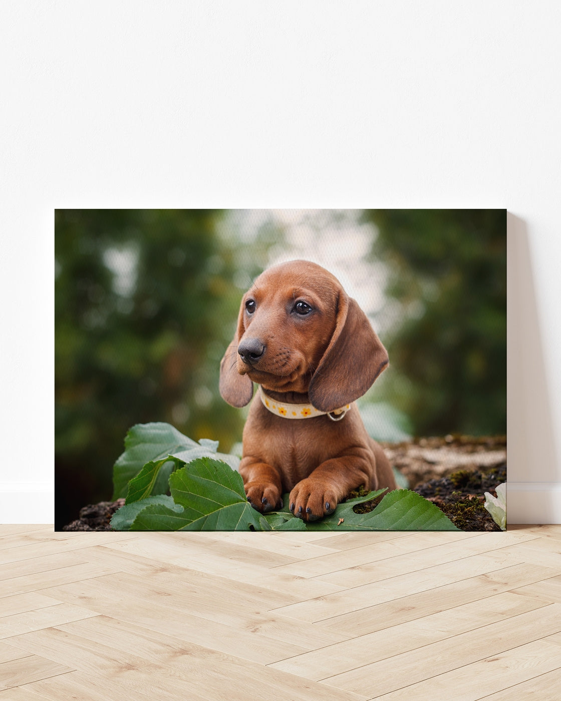 stretched-canvas
