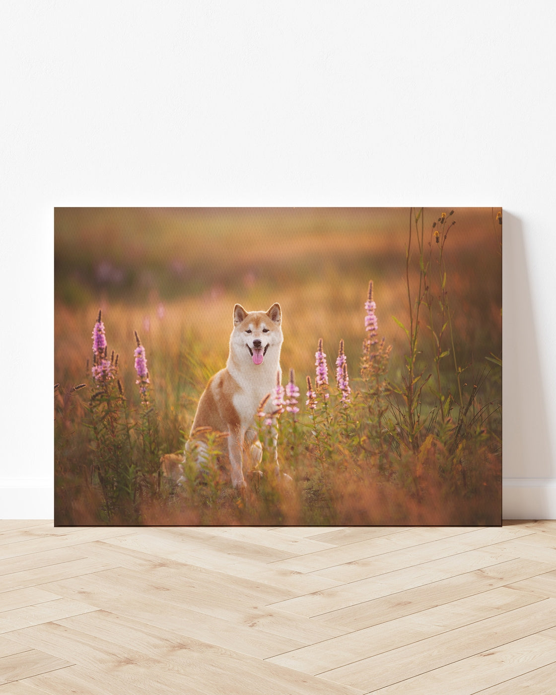 stretched-canvas