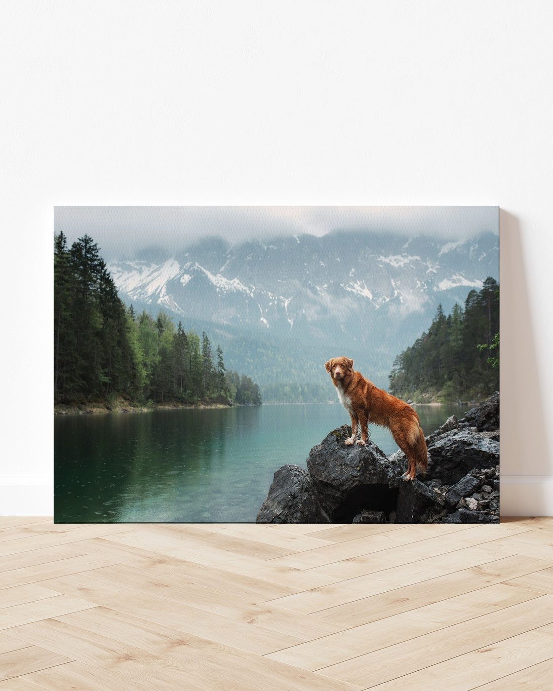 stretched-canvas