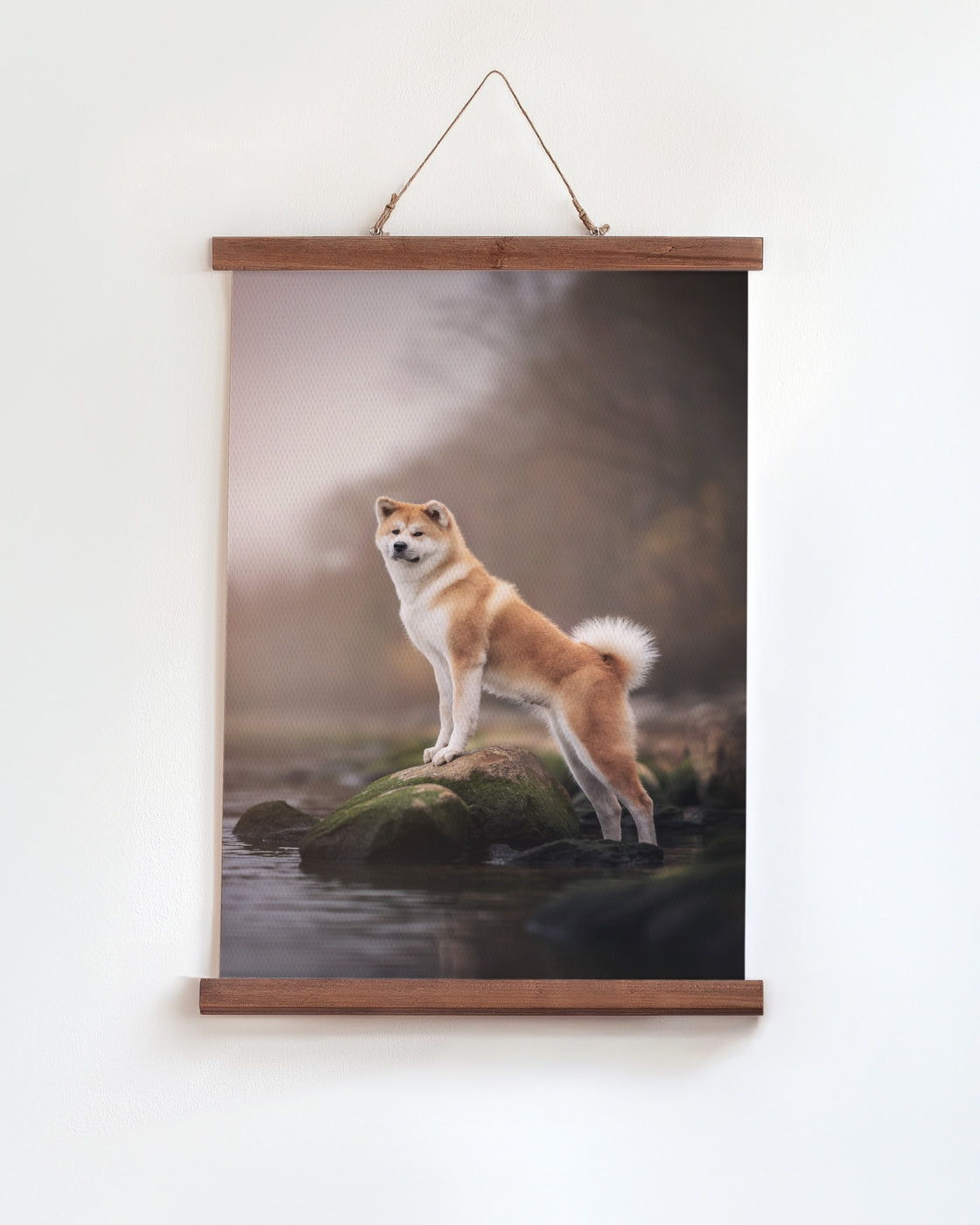 canvas