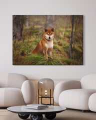 After Hover: Shiba Inu im Wald