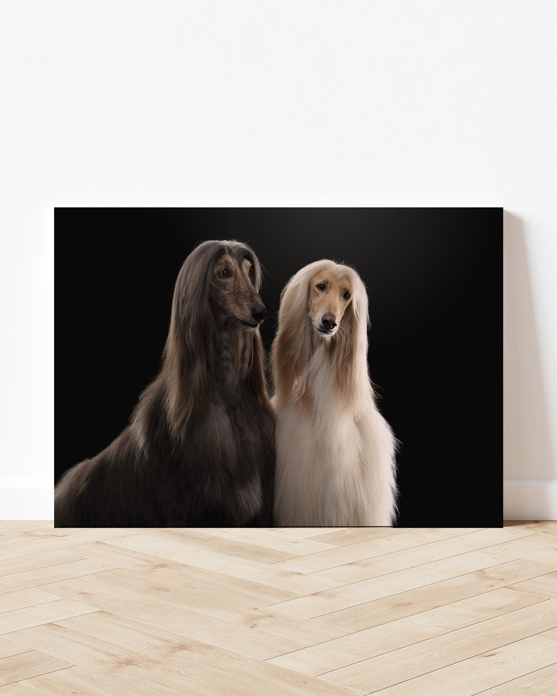 stretched-canvas