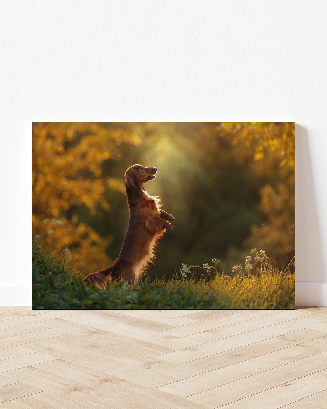 stretched-canvas